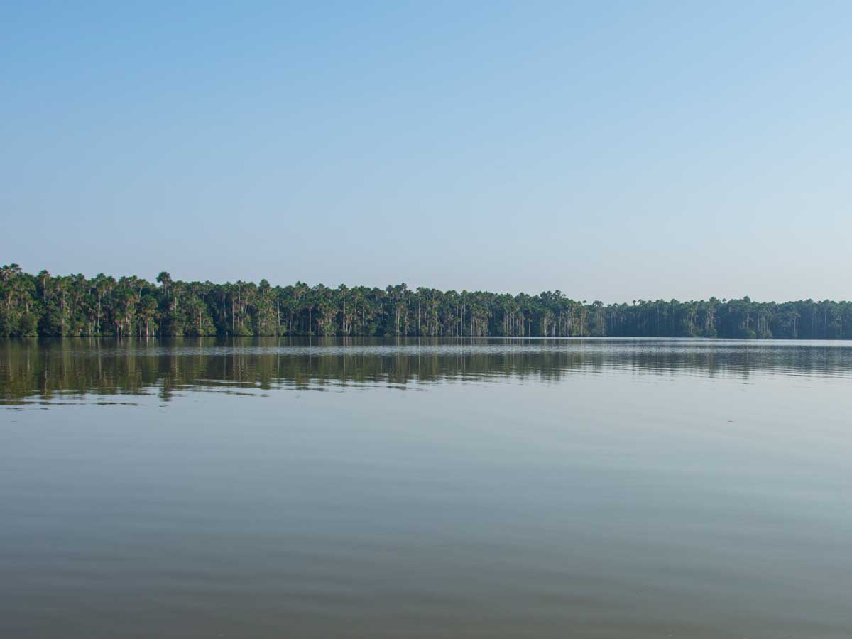 Oxbow lake in the Amazon