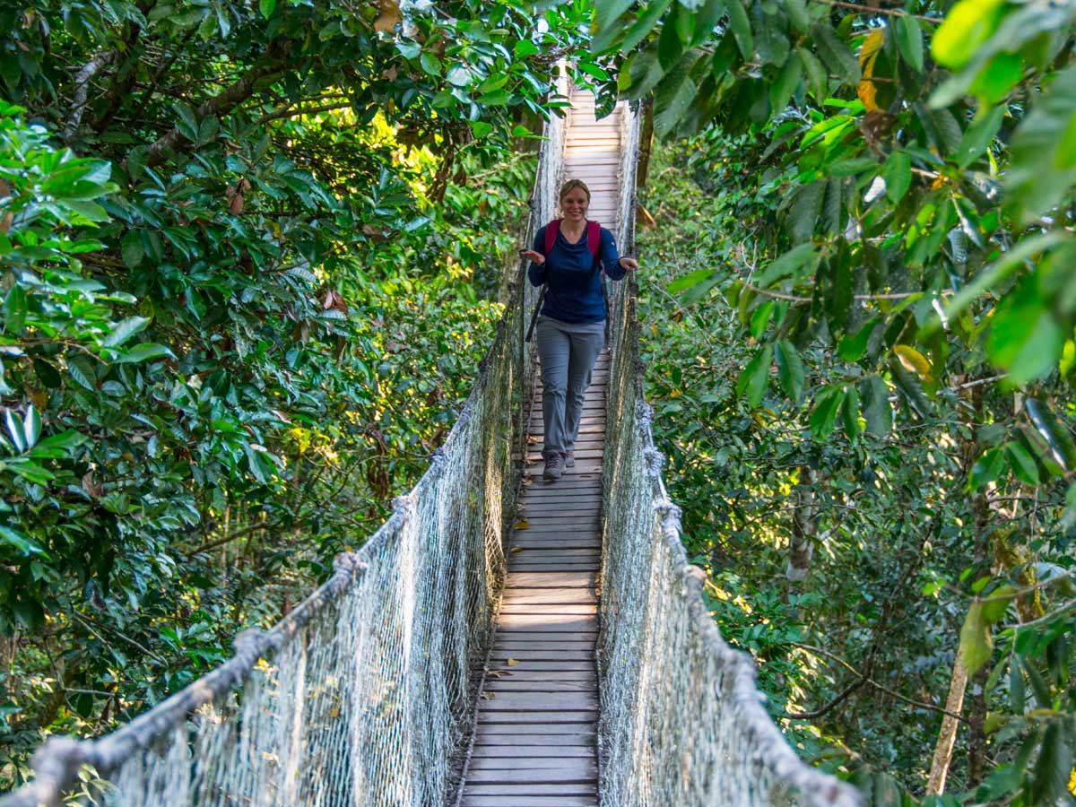 The Inkaterra Canopy Walkway