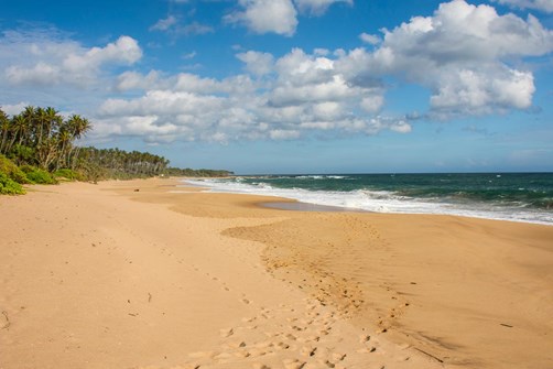 The best of Sri Lanka's South Coast