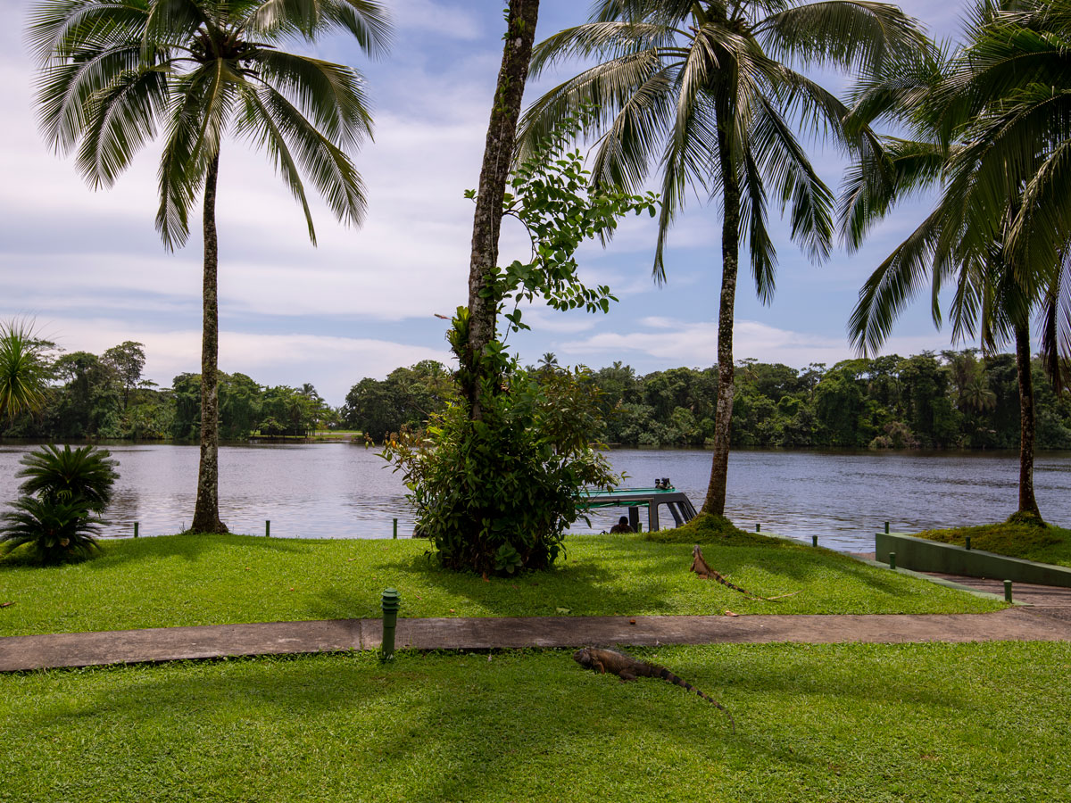 Beautiful lawns at Tortuga Lodge & Gardens