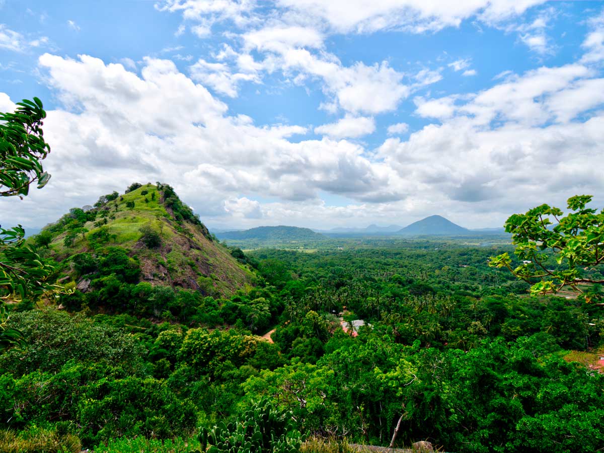View from Dambulla Cave Temples