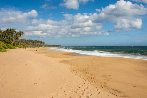 The best of Sri Lanka's South Coast 