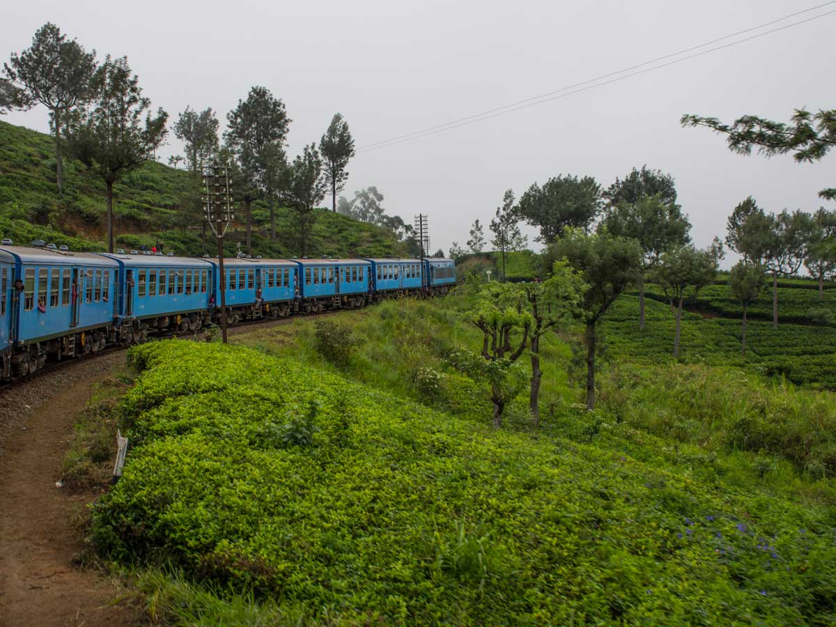 Ella to Nuwara Eliya by train