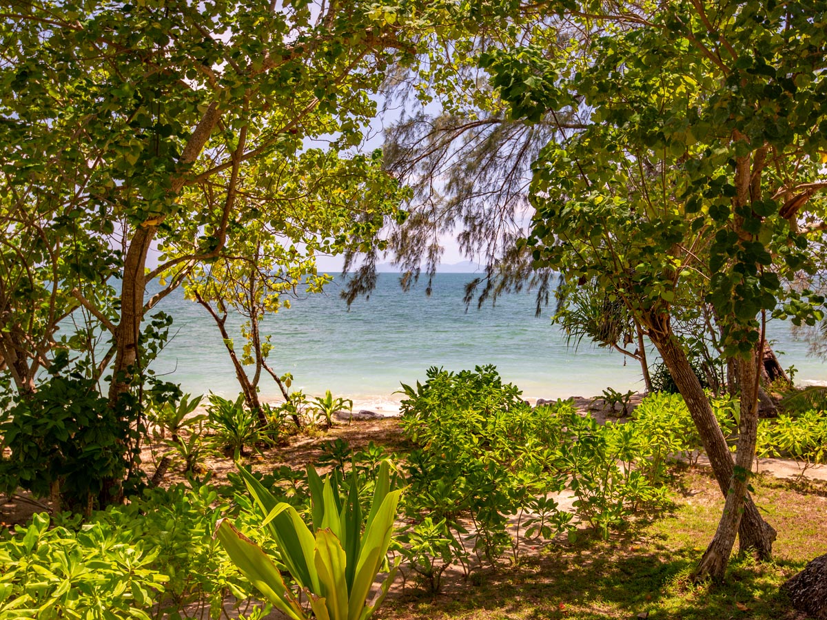 Our garden and view of the beach