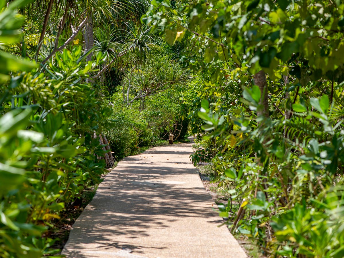 Pathway leading through the resort